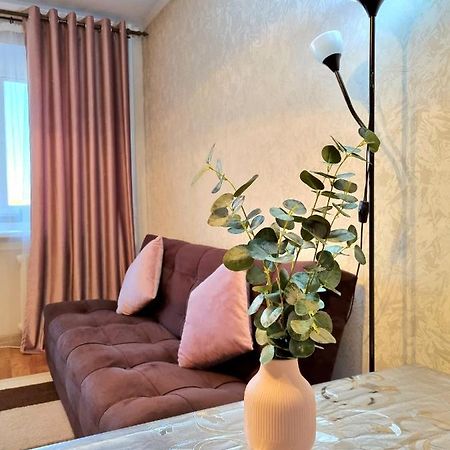 Apartment На Стрелке С Красивым Видом На Иртыш Öskemen Buitenkant foto