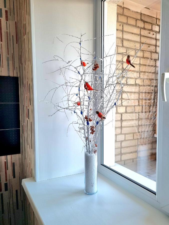 Apartment На Стрелке С Красивым Видом На Иртыш Öskemen Buitenkant foto