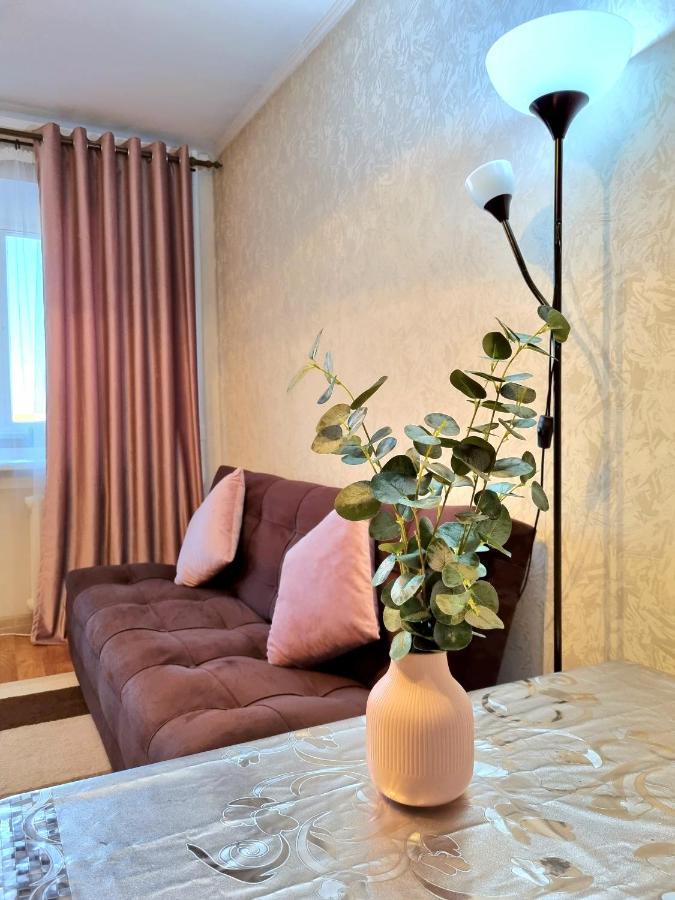 Apartment На Стрелке С Красивым Видом На Иртыш Öskemen Buitenkant foto